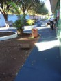 /album/reforma-da-nossa-escola/dsc00427-jpg/